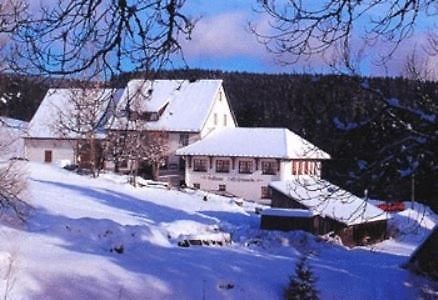 Pension Loeffelschmiede Lenzkirch Exterior photo