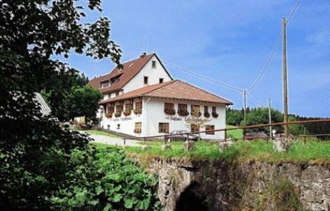 Pension Loeffelschmiede Lenzkirch Exterior photo